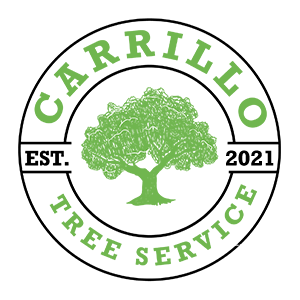 https://jamulbaseball.com/wp-content/uploads/sites/625/2024/01/CARRILLO-TREE-SERVICE-01.png